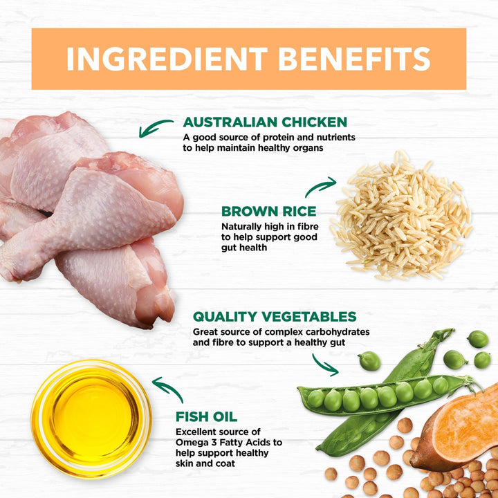 Ivory Coat Puppy Chicken & Brown Rice Loaf Wet Dog Food 12x400g - Just For Pets Australia