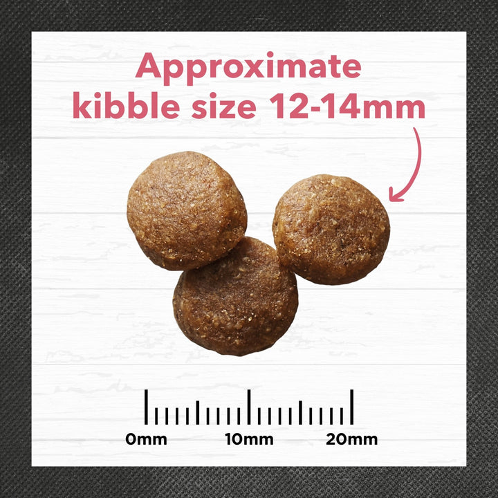 Ivory Coat Salmon & Brown Rice Dry Mature Dog Food - Just For Pets Australia