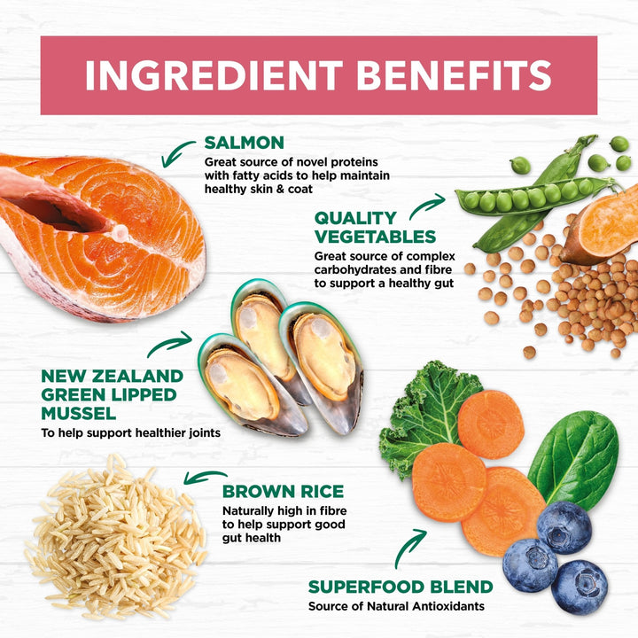 Ivory Coat Salmon & Brown Rice Dry Mature Dog Food - Just For Pets Australia