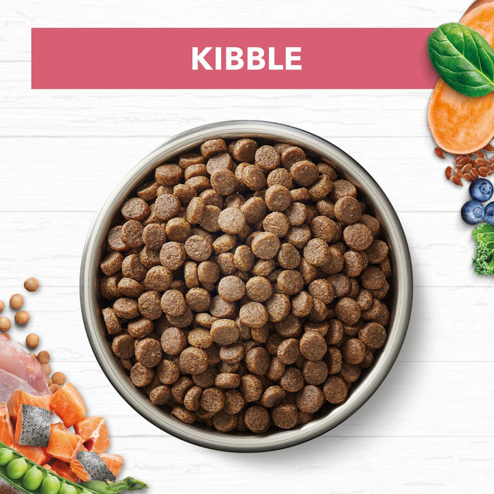 Ivory Coat Salmon & Chicken Dry Mature Cat Food - Just For Pets Australia