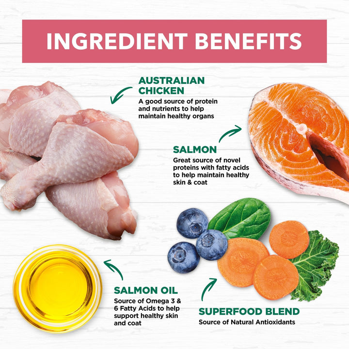 Ivory Coat Salmon & Chicken Dry Mature Cat Food - Just For Pets Australia