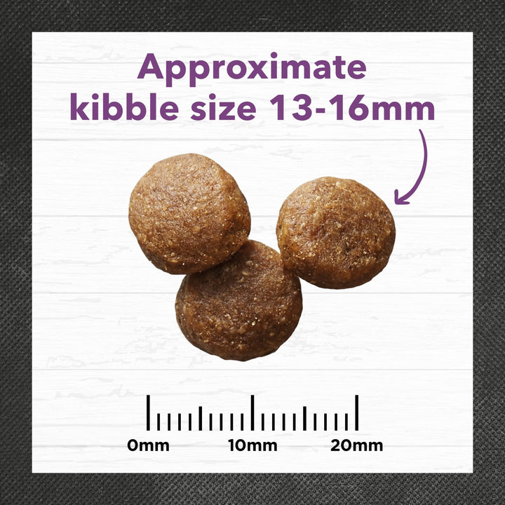 Ivory Coat Turkey & Brown Rice Large Breed Dry Dog Food - Just For Pets Australia