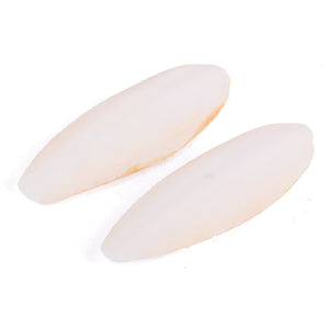 Kazoo Cuttlebone Natural 2 Pack - Just For Pets Australia