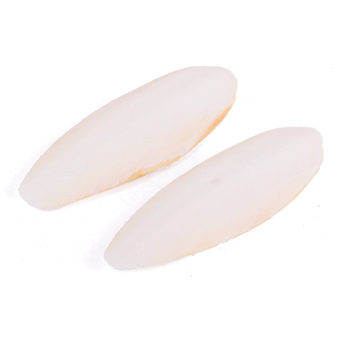 Kazoo Cuttlebone Natural 2 Pack - Just For Pets Australia