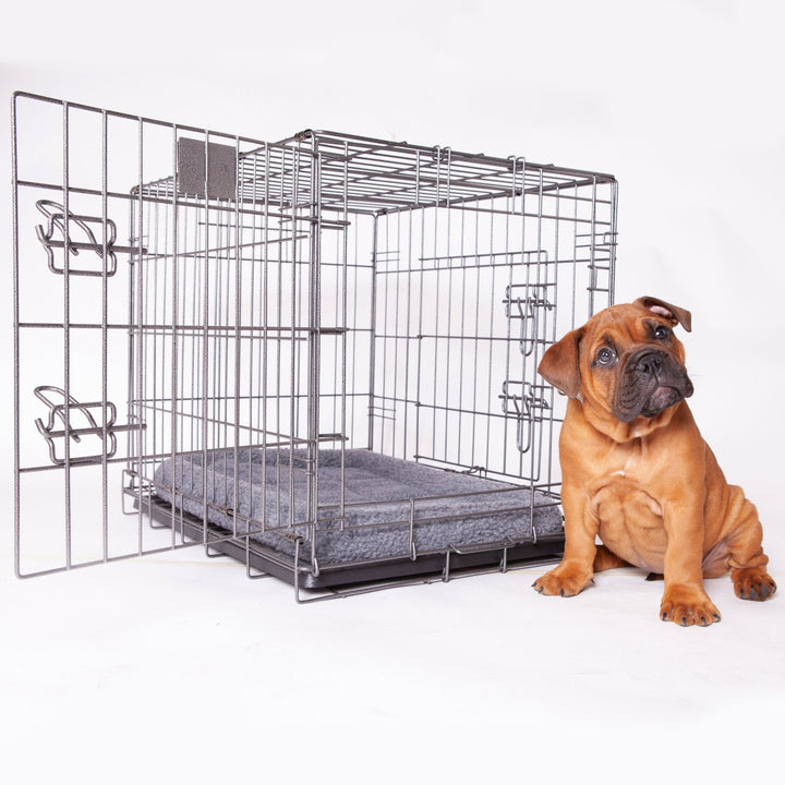 Kazoo Mobile Home - Just For Pets Australia