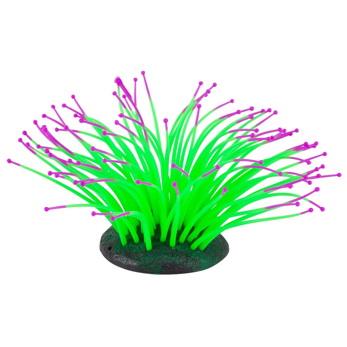 Kazoo Silicone Plant - Sea Anemone Small Green/Purple - Just For Pets Australia