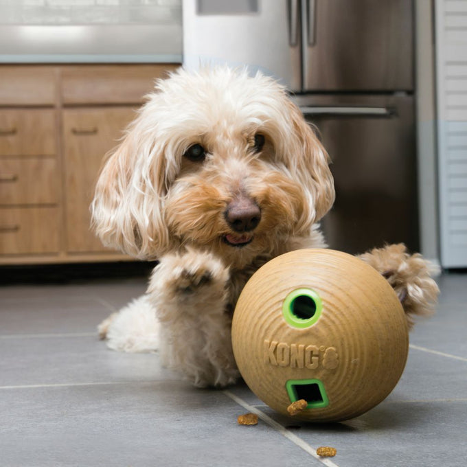 KONG Bamboo Feeder Ball - Just For Pets Australia