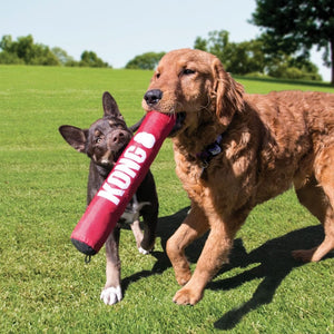 KONG Signature Stick - Just For Pets Australia