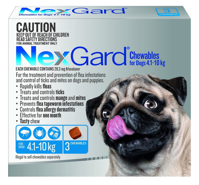 NexGard For Small Dog 4.1 - 10kg - Just For Pets Australia