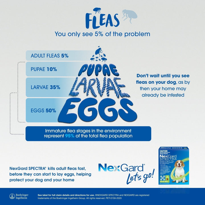 NexGard Spectra Chews For Dogs 2-3.5kg - Just For Pets Australia