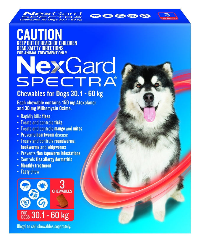 NexGard Spectra Chews For Dogs 30.1-60kg - Just For Pets Australia