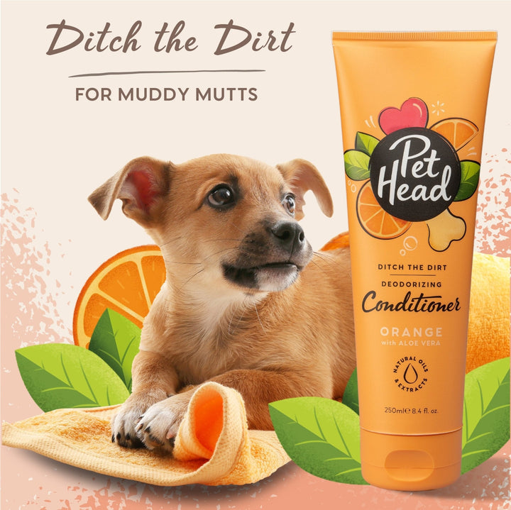 Pet Head Ditch The Dirt Conditioner 250ml - Just For Pets Australia