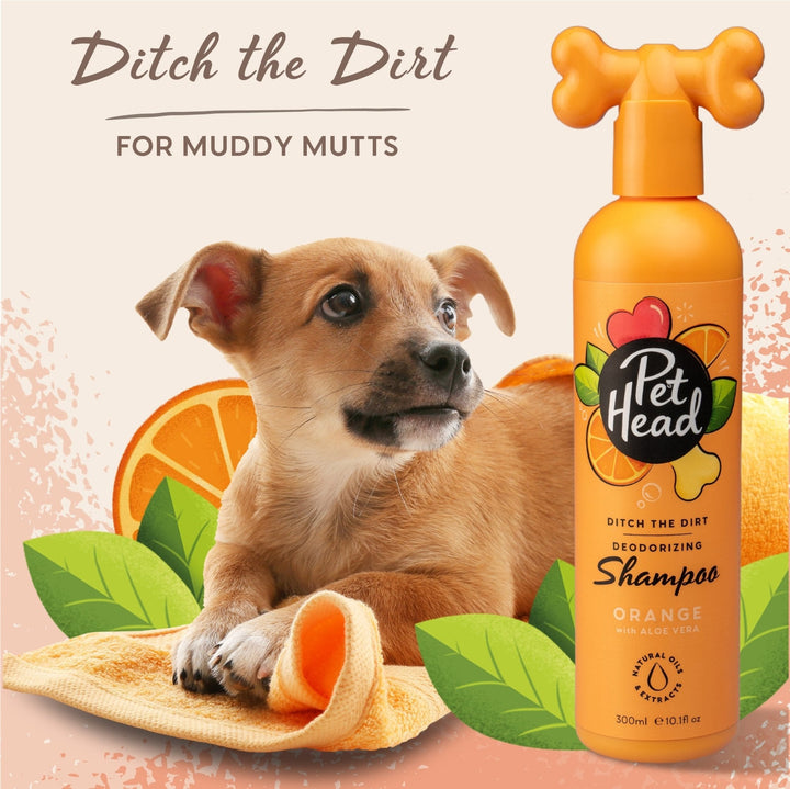 Pet Head Ditch The Dirt Shampoo 300ml - Just For Pets Australia