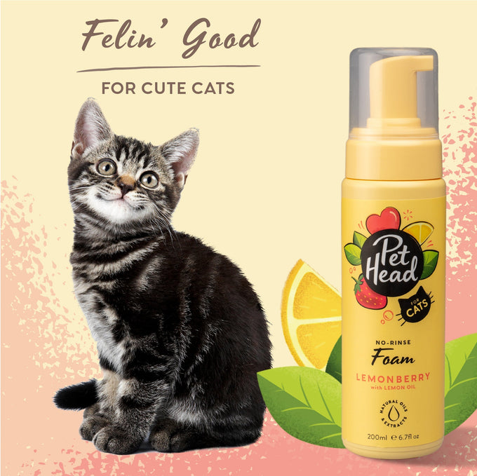 Pet Head Felin' Good Cat Foam 200ml - Just For Pets Australia