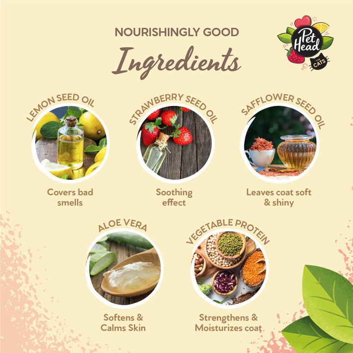 Pet Head Felin' Good Cat Shampoo 300ml - Just For Pets Australia