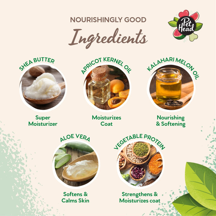 Pet Head Furtastic Shampoo 300ml - Just For Pets Australia