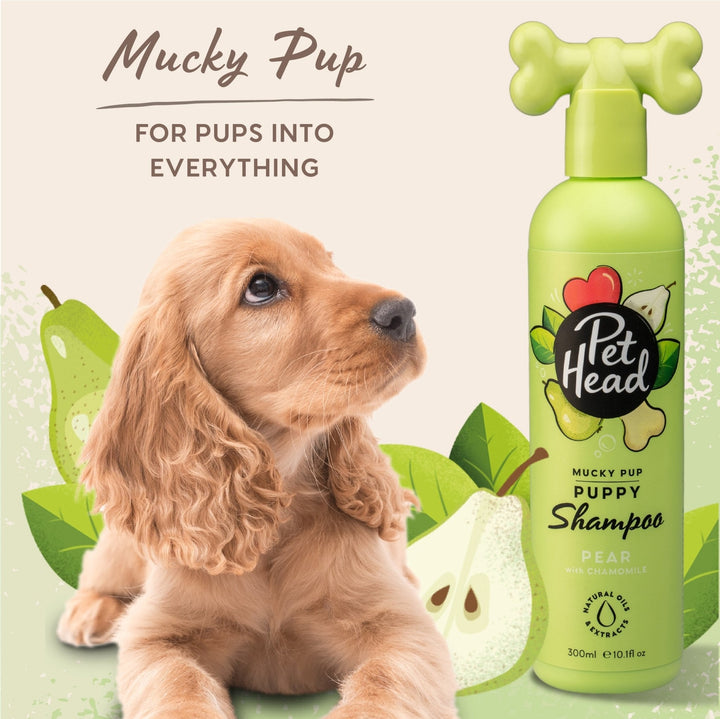 Pet Head Mucky Puppy Shampoo 300ml - Just For Pets Australia