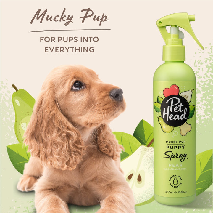 Pet Head Mucky Puppy Spray 300ml - Just For Pets Australia