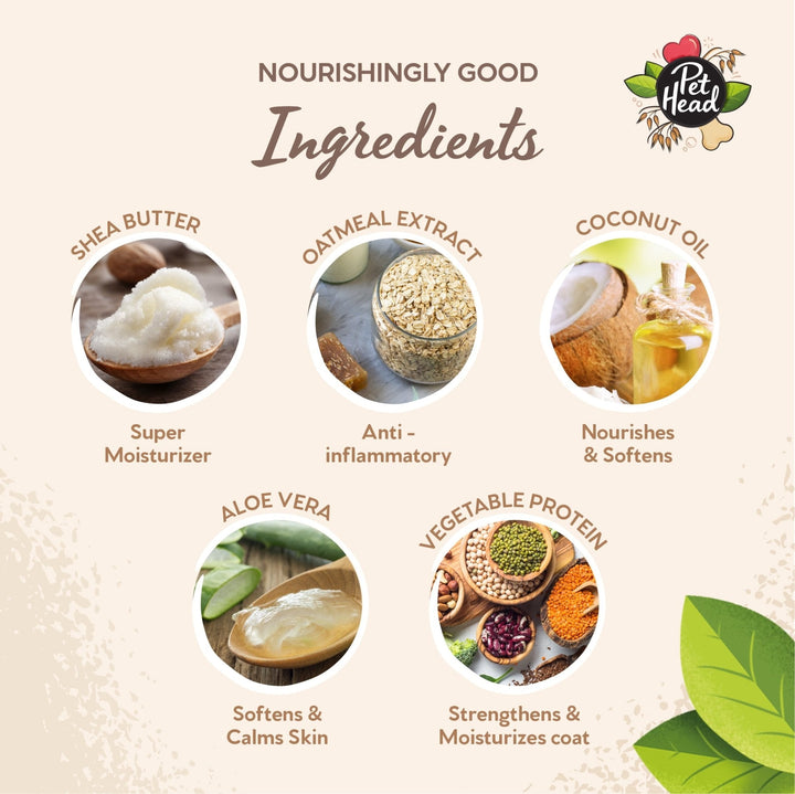 Pet Head On All Paws Paw Butter 60ml - Just For Pets Australia