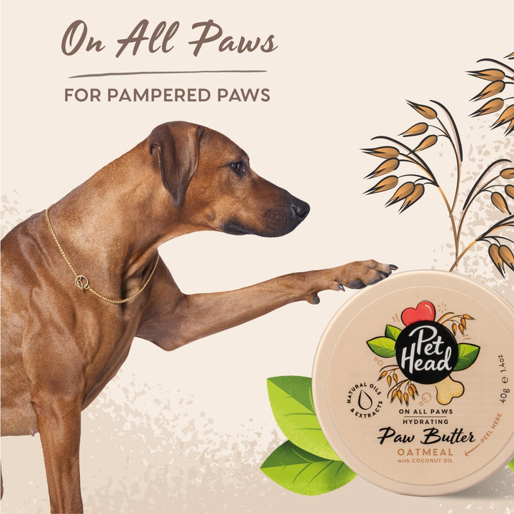 Pet Head On All Paws Paw Butter 60ml - Just For Pets Australia
