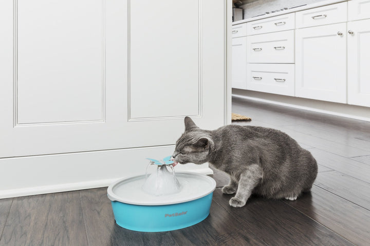 PetSafe® Drinkwell® Butterfly Pet Fountain - Just For Pets Australia