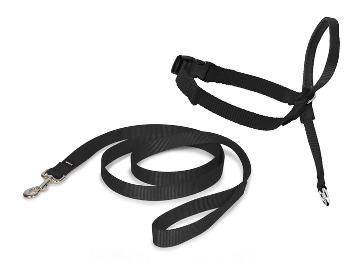 PetSafe® Easy Walk™ Headcollar Black - Just For Pets Australia