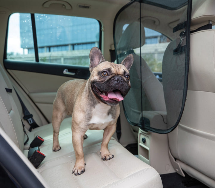 PetSafe® Happy Ride™ Dog Barrier - Just For Pets Australia