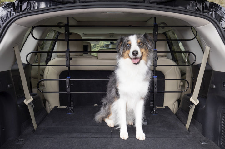 PetSafe® Happy Ride™ Metal Dog Barrier - Just For Pets Australia