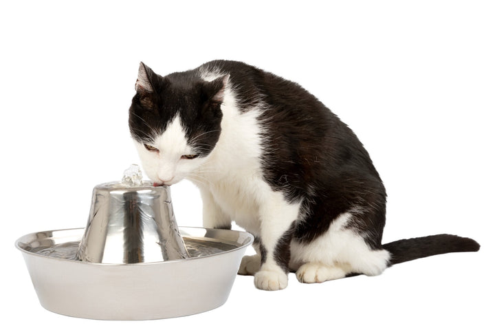 PetSafe® Seaside Stainless Steel Pet Fountain - Just For Pets Australia