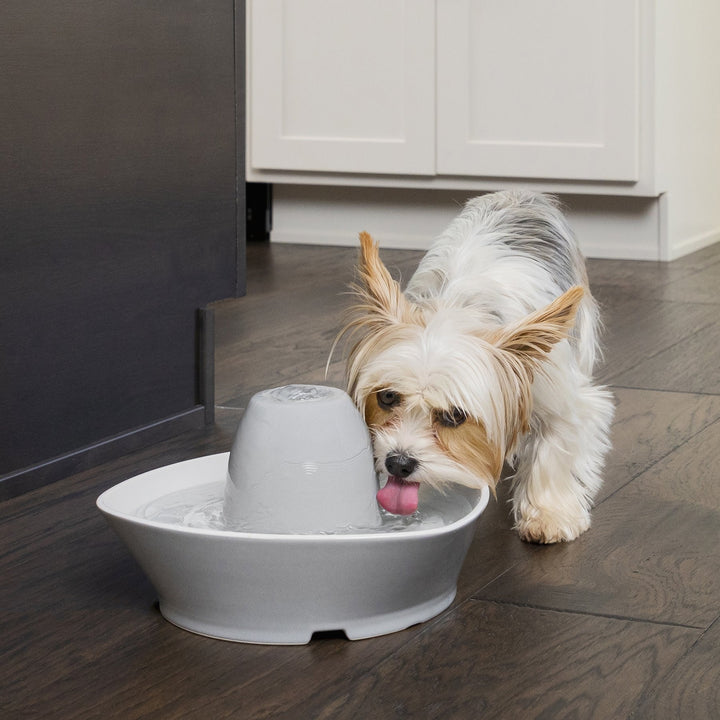 PetSafe® Streamside Ceramic Pet Fountain - Just For Pets Australia