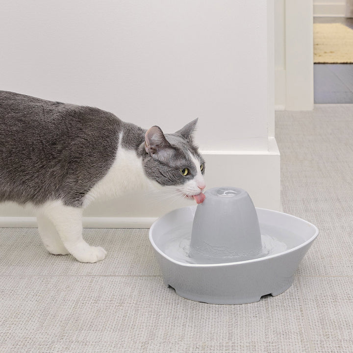 PetSafe® Streamside Ceramic Pet Fountain - Just For Pets Australia