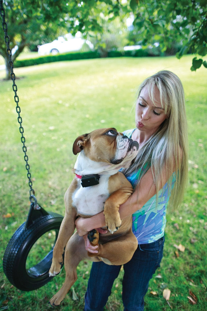 PetSafe® Stubborn Dog In-Ground Fence - Just For Pets Australia