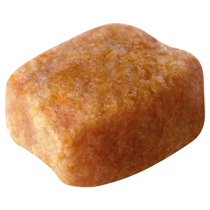 Royal Canin Dachshund Adult 1.5kg - Just For Pets Australia