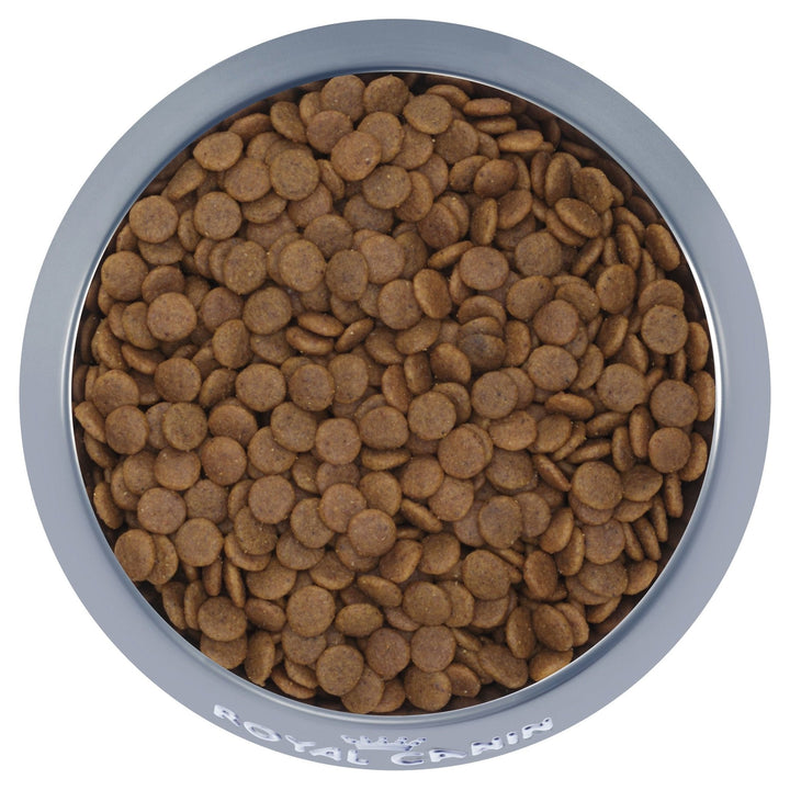 Royal Canin Medium Puppy - Just For Pets Australia