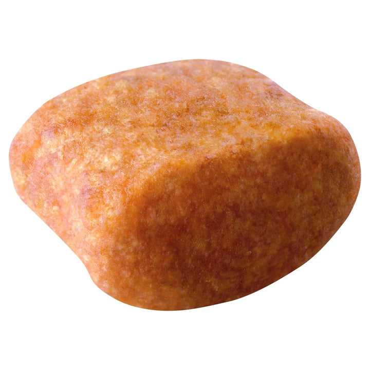 Royal Canin Poodle Adult - Just For Pets Australia