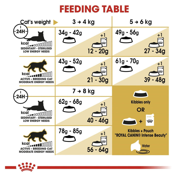 Royal Canin Ragdoll Dry Food 2kg - Just For Pets Australia