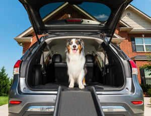 PetSafe® Happy Ride™ Folding Dog Ramp - Just For Pets Australia